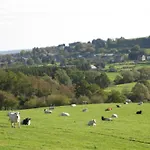 Rustic Estate With Sauna