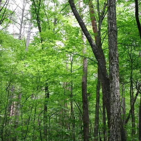 Feriehus Rustic Estate With Sauna Ambly